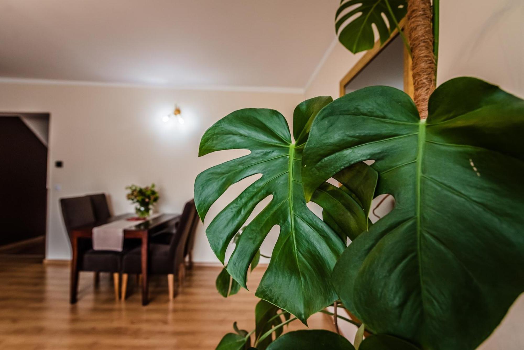 Apartamenty Widok Szczawnica Exterior foto